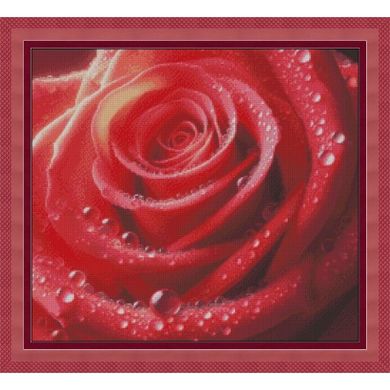 Троянда в росі Електронна схема для вишивання хрестиком Інна Холодна КВ-0074ИХ