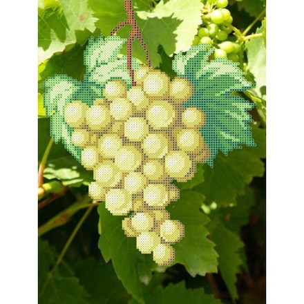 Білий виноград Атлас з малюнком для часткової вишивки бісером Ангеліка A-555 - Вишивка хрестиком і бісером - Овечка Рукодільниця