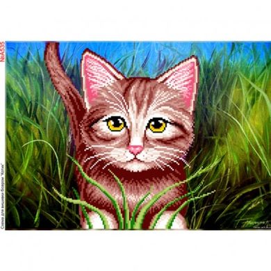 Котик у траві Схема для вишивки бісером Biser-Art A535ба - Вишивка хрестиком і бісером - Овечка Рукодільниця
