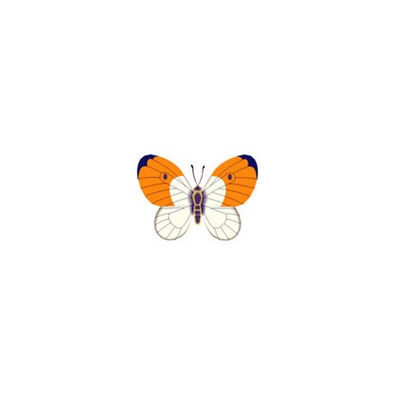 Зорька Ткань для вышивания с нанесённым рисунком Orchidea O-307 - Вишивка хрестиком і бісером - Овечка Рукодільниця
