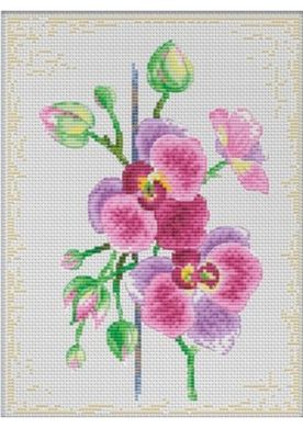 Цветки орхидеи. Набор для вышивания крестом. Дантель Dantel (004.1 dD) - Вышивка крестиком и бисером - Овца Рукодельница