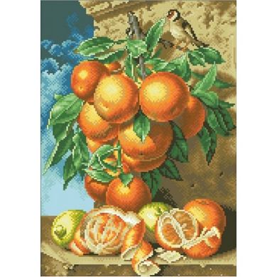 Апельсини Канва з нанесеним малюнком для вишивання хрестиком Світ можливостей 30.526СМД - Вышивка крестиком и бисером - Овца Рукодельница