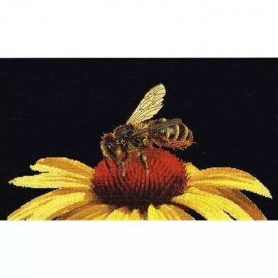 Bee on Yellow Echinacea Black Aida Набір для вишивання хрестиком Thea Gouverneur gouverneur_585.05 - Вышивка крестиком и бисером - Овца Рукодельница