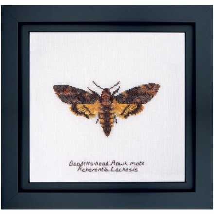 Набір для вишивання хрестиком Death's-head Hawk moth Linen Thea Gouverneur 563 - Вишивка хрестиком і бісером - Овечка Рукодільниця