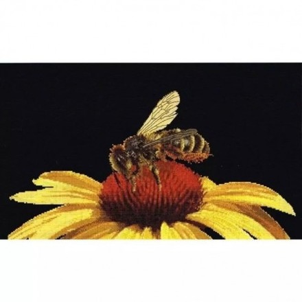 Bee on Yellow Echinacea Black Aida Набір для вишивання хрестиком Thea Gouverneur gouverneur_585.05 - Вишивка хрестиком і бісером - Овечка Рукодільниця