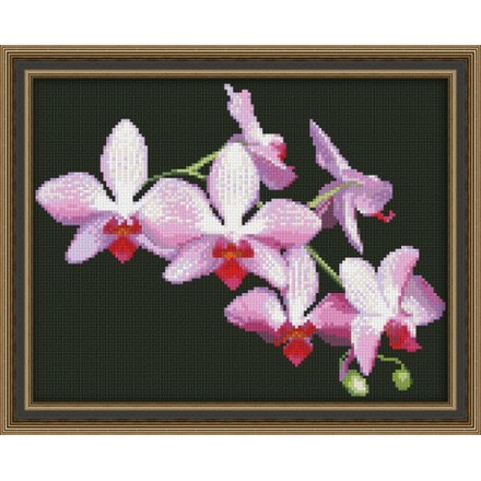 Набор для вышивки крестом Юнона 0116 Ветка орхидеи - Вышивка крестиком и бисером - Овца Рукодельница