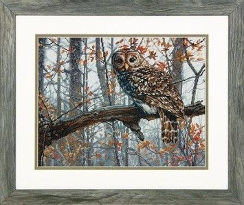 Набор для вышивания Dimensions 70-35311 Wise Owl - Вышивка крестиком и бисером - Овца Рукодельница