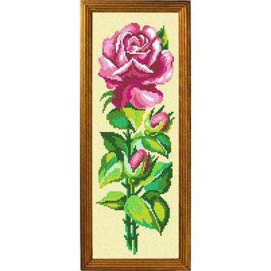 Рожева троянда Канва з нанесеним малюнком Чарівниця S-12 - Вышивка крестиком и бисером - Овца Рукодельница