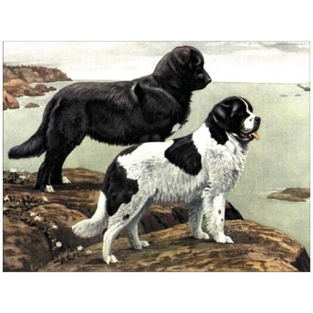 Собаки-спасатели: сенбернар и ньюфаундленд Ткань для вышивания с нанесённым рисунком Orchidea O-028 - Вышивка крестиком и бисером - Овца Рукодельница