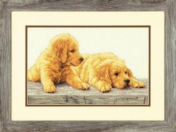 Набор для вышивания Dimensions 70-35309 Golden Retrievers - Вышивка крестиком и бисером - Овца Рукодельница