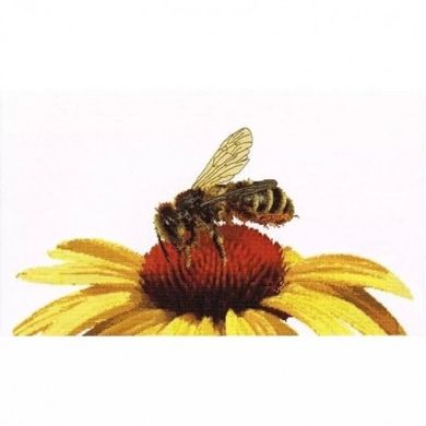 Bee on Yellow Echinacea Aida Набір для вишивання хрестиком Thea Gouverneur gouverneur_585A - Вышивка крестиком и бисером - Овца Рукодельница