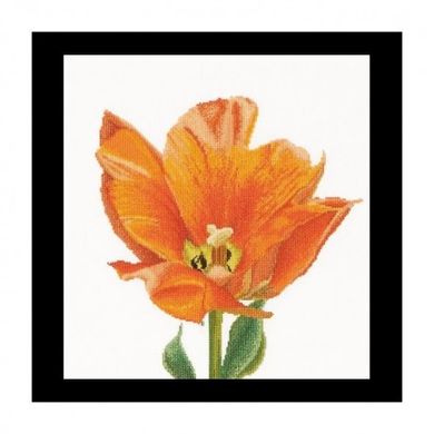 Orange Triumph tulip Linen Набір для вишивки хрестиком Thea Gouverneur gouverneur_523 - Вишивка хрестиком і бісером - Овечка Рукодільниця