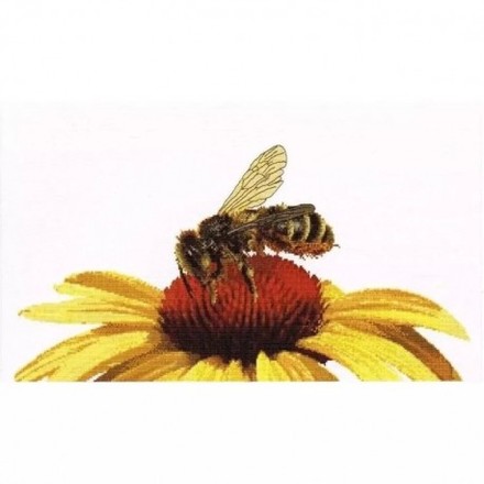 Bee on Yellow Echinacea Aida Набір для вишивання хрестиком Thea Gouverneur gouverneur_585A - Вишивка хрестиком і бісером - Овечка Рукодільниця