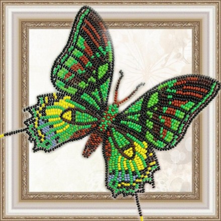 Набор для вышивки бисером бабочки на прозрачной основе Вдохновение Тейнопальпус BGP-031 - Вишивка хрестиком і бісером - Овечка Рукодільниця