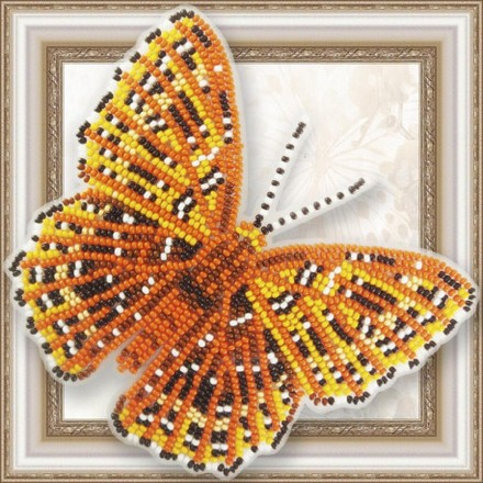 Набор для вышивки бисером бабочки на прозрачной основе Вдохновение Zemeros Flegyas BGP-077 - Вишивка хрестиком і бісером - Овечка Рукодільниця