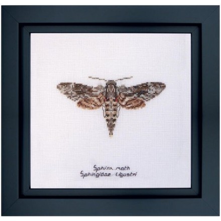 Набір для вишивання хрестиком Sphinx moth Linen Thea Gouverneur 564 - Вишивка хрестиком і бісером - Овечка Рукодільниця