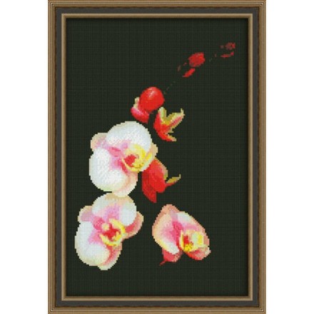 Набор для вышивки крестом Юнона 0118 Розовая орхидея - Вышивка крестиком и бисером - Овца Рукодельница