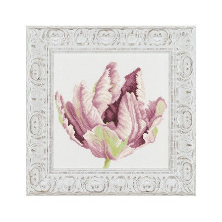 Набор для вышивания Lanarte L34899 Tulip in close-up - Вишивка хрестиком і бісером - Овечка Рукодільниця