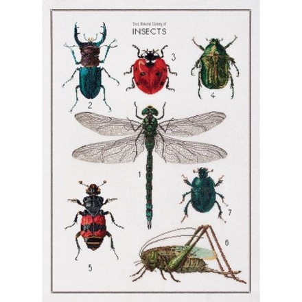Набір для вишивання хрестиком The History of Insects Linen Thea Gouverneur 566 - Вышивка крестиком и бисером - Овца Рукодельница