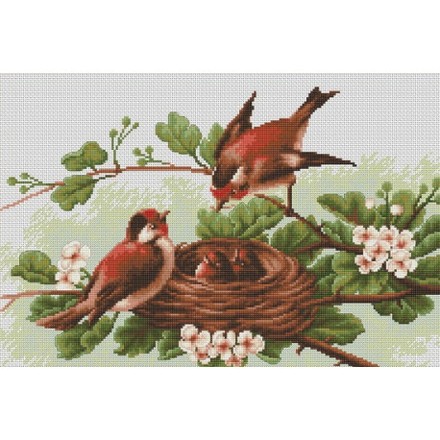 Набор для вышивки крестом Luca-S BM3005 Птицы у гнезда - Вишивка хрестиком і бісером - Овечка Рукодільниця