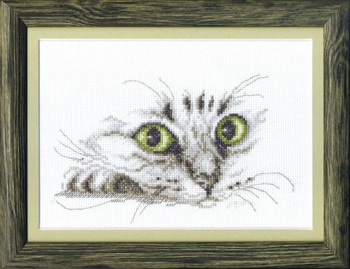 Взгляд кота. Набор для вышивки крестиком. Чаривна мить (М-267) - Вышивка крестиком и бисером - Овца Рукодельница