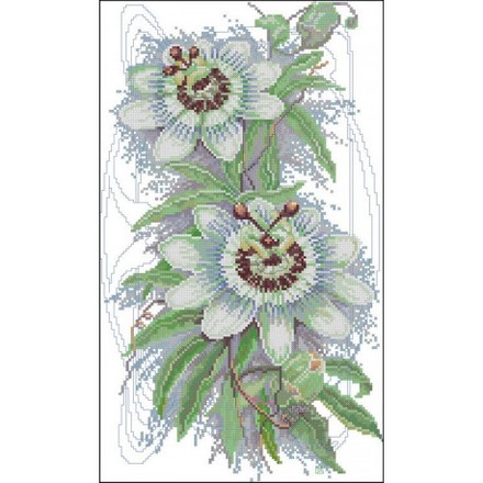 Набор для вышивания L23047 Пасифлора (Цветы страсти) - Вишивка хрестиком і бісером - Овечка Рукодільниця