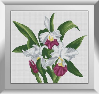 Орхидея каттлея. Набор алмазной живописи. Dream Art (31188D) - Вышивка крестиком и бисером - Овца Рукодельница