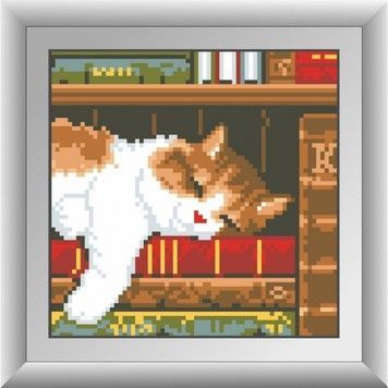 Набір для малювання камінням алмазна живопис Dream Art Кошеня на книжковій полиці (квадратні, повна) 30363D - Вишивка хрестиком і бісером - Овечка Рукодільниця