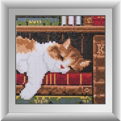 Кошеня на книжковій полиці. Dream Art (30363D) - Вишивка хрестиком і бісером - Овечка Рукодільниця