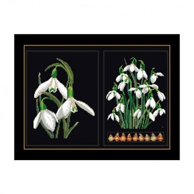 Snowdrops Panel Black Aida Набір для вишивання хрестиком Thea Gouverneur gouverneur_446.05 - Вышивка крестиком и бисером - Овца Рукодельница