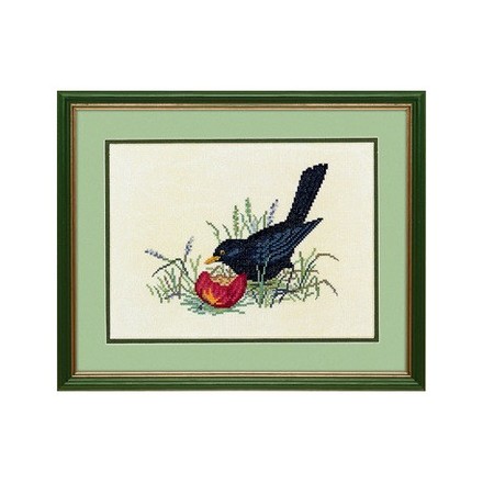 Черная птица и яблоко Набор для вышивания крестом Eva Rosenstand 12-983 - Вышивка крестиком и бисером - Овца Рукодельница