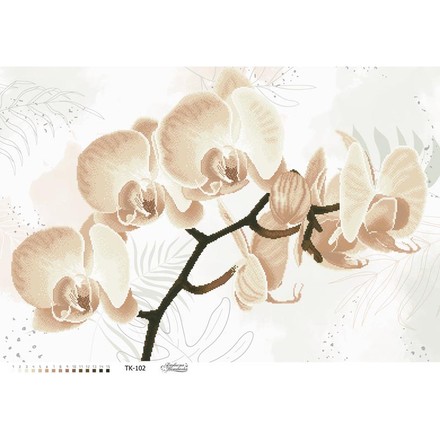 Набор для вышивания бисером Барвиста Вышиванка Хрупкая бежевая орхидея 86х58 ТК102ан8658k - Вышивка крестиком и бисером - Овца Рукодельница