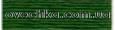 0701 DMC/117 Муліне Lawn green. DMC (DMC701) - Вишивка хрестиком і бісером - Овечка Рукодільниця