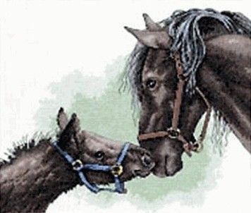 Набір для вишивання Dimensions 13722 Mother and Colt - Вишивка хрестиком і бісером - Овечка Рукодільниця