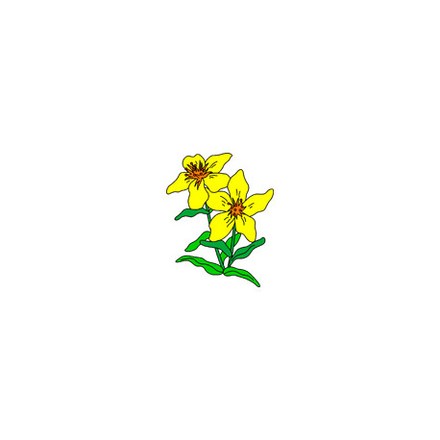 Нарциссы Ткань для вышивания с нанесённым рисунком Orchidea O-322 - Вишивка хрестиком і бісером - Овечка Рукодільниця