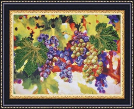 Виноградные гроздья. Набор для вышивания бисером. Картины бисером (Р-056кб) - Вышивка крестиком и бисером - Овца Рукодельница
