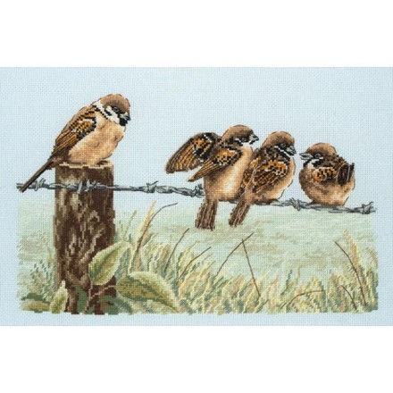 Набор для вышивания Anchor PCE603 Birds On Wire/ Птицы на проводе - Вишивка хрестиком і бісером - Овечка Рукодільниця