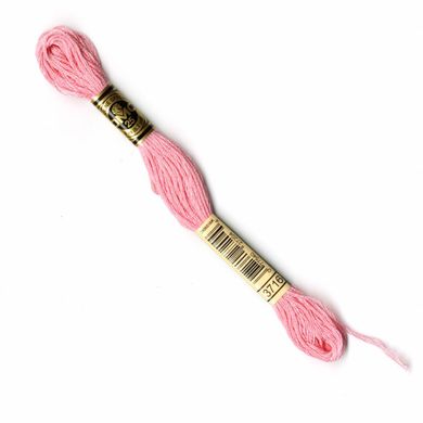 3716 DMC/117 Мулине Candyfloss pink. DMC (DMC3716) - Вышивка крестиком и бисером - Овца Рукодельница