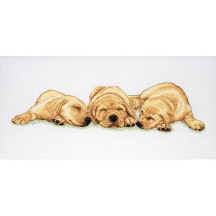 Набор для вышивания Anchor PCE726 Sleeping Labradors /Спящие лабрадоры - Вишивка хрестиком і бісером - Овечка Рукодільниця