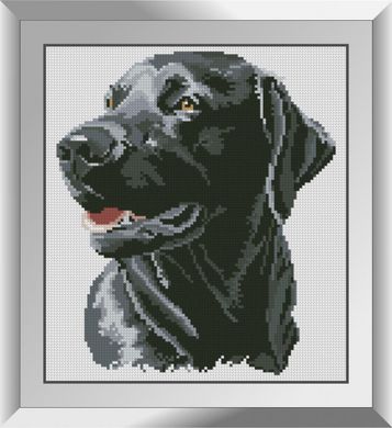 Счастливый пес. Набор алмазной живописи. Dream Art (31248D) - Вышивка крестиком и бисером - Овца Рукодельница