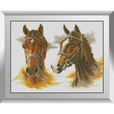 Два коні. Набір алмазний живопис. Dream Art (31607D) - Вишивка хрестиком і бісером - Овечка Рукодільниця