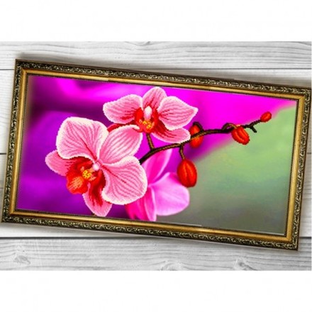 Рожева орхідея Схема для вишивки бісером Biser-Art 3060004ба - Вишивка хрестиком і бісером - Овечка Рукодільниця