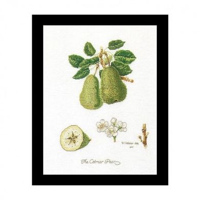 Colnar Pears Linen Набір для вишивання хрестиком Thea Gouverneur gouverneur_2056 - Вишивка хрестиком і бісером - Овечка Рукодільниця