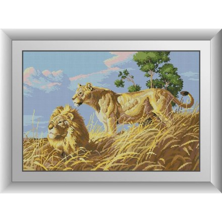 Африканские львы. Dream Art (30052D) - Вышивка крестиком и бисером - Овца Рукодельница