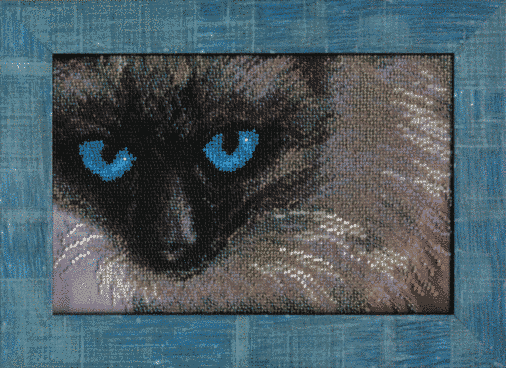 Сиамский кот. Набор для вышивки бисером. Чаривна мить (Б-696) - Вышивка крестиком и бисером - Овца Рукодельница