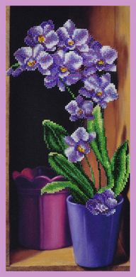 Орхидея.. Набор для вышивания бисером. Картины бисером (Р-235кб) - Вышивка крестиком и бисером - Овца Рукодельница