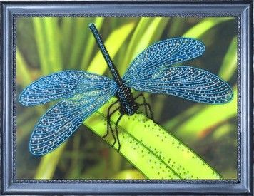 Набор для вышивания бисером Butterfly 105 Стрекоза - Вышивка крестиком и бисером - Овца Рукодельница