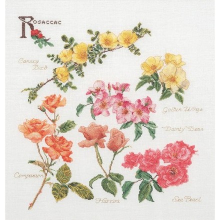 Набір для вишивання хрестиком Rose Panel Linen Thea Gouverneur 3066 - Вишивка хрестиком і бісером - Овечка Рукодільниця