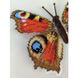 Peacock (Aglais io). Метелик Набір для вишивання хрестиком ArtInspirate BUT-009