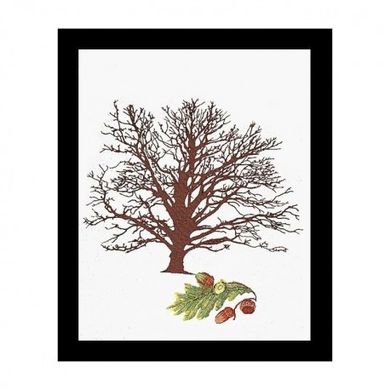 Oak Tree Aida Набір для вишивання хрестиком Thea Gouverneur gouverneur_831A - Вишивка хрестиком і бісером - Овечка Рукодільниця
